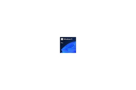 MICROSOFT WINDOWS 11 PRO - ESD FQC-10572