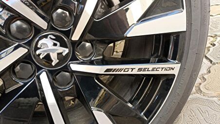 Gt Selection Jant Sticker 10 Adet Siyah Renk