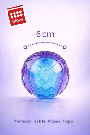 Ball Originals Özel Dokulu & Sesli Köpek Oyun Topu - Tekli Paket - Orta & Büyük Irk - 6 cm