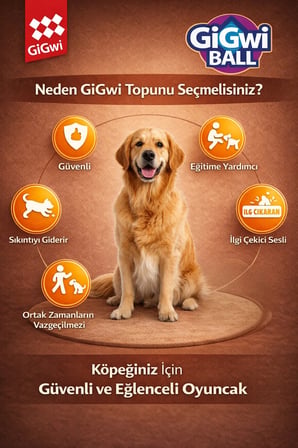 Ball Originals Özel Dokulu & Sesli Köpek Oyun Topu - Tekli Paket - Orta & Büyük Irk - 6 cm