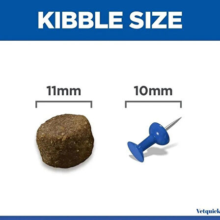 Hills Medium Puppy Kuzu Etli Yavru Köpek Maması 2.5Kg