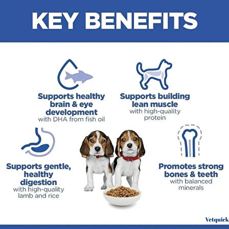 Hills Medium Puppy Kuzu Etli Yavru Köpek Maması 2.5Kg