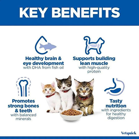 Hill's Kitten Tavuk Etli 1.5 kg Yavru Kedi Maması