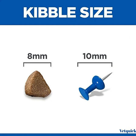 Hill's Kitten Tavuk Etli 1.5 kg Yavru Kedi Maması