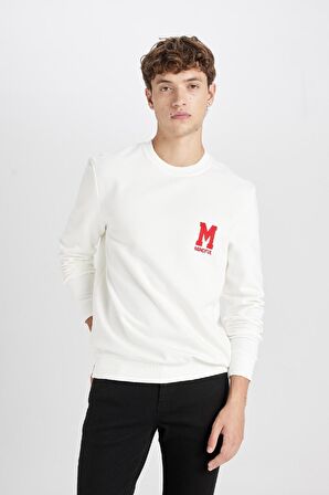 DeFacto New Regular Fit Bisiklet Yaka Baskılı Kalın Sweatshirt D3670AX24AUWT32