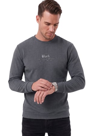 RizzUP Erkek Slim Fit Jakar Dokulu Füme Sweatshirt – Likralı Yumuşak Dokulu Bisiklet Yaka Nakışlı 2708516