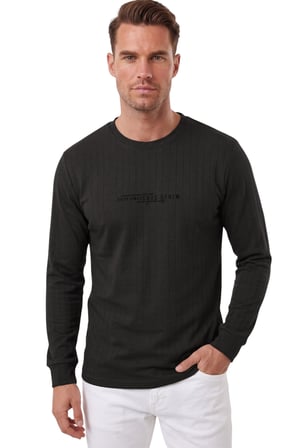 RizzUP Erkek Slim Fit Likralı Çizgi Dokulu Siyah Sweatshirt – Bisiklet Yaka Nakışlı Spor Şık Sweat 2708518