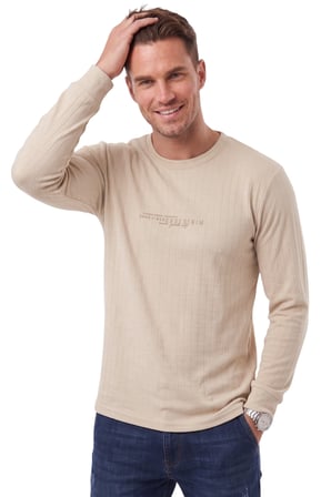 RizzUP Erkek Slim Fit Likralı Çizgi Dokulu Bej Sweatshirt – Bisiklet Yaka Nakışlı Spor Şık Sweat 2708518