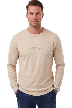 RizzUP Erkek Slim Fit Likralı Çizgi Dokulu Bej Sweatshirt – Bisiklet Yaka Nakışlı Spor Şık Sweat 2708518