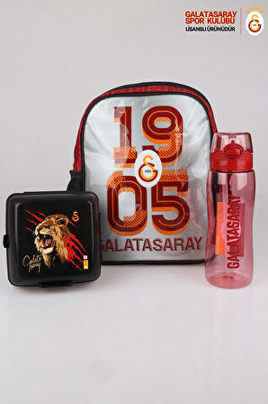 DEKOMUS İLE LİSANSLI GALATASARAY KÜÇÜK BOY 32x25 CM ANAOKUL ÇANTASI,700 ML MATARA VE BESLENME KABI SETİ