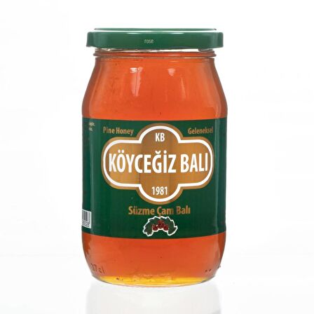 Köyceğiz Balı Çam Balı 450 G Cam Kavanoz