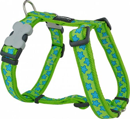 REDDİNGO LİME ÜZERİNE TURKUAZ YILDIZLI KÖPEK GÖĞÜS TASMASI L /25MM