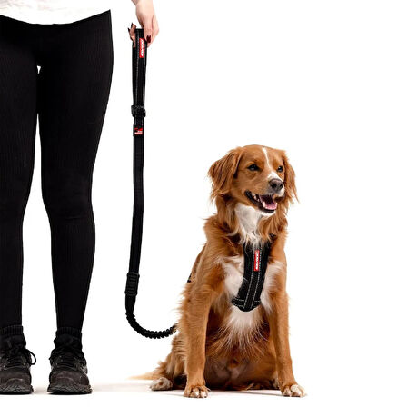 Ezydog Leash Zero Shock Köpek Gezdirme Kayışı Siyah (122cm)
