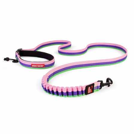 Road Runner Leash Gezdirme Tasması Bubble Gum
