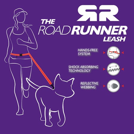 Road Runner Leash Gezdirme Tasması Bubble Gum