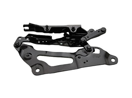 BMW Kaput Menteşesi F07+LCI Sağ