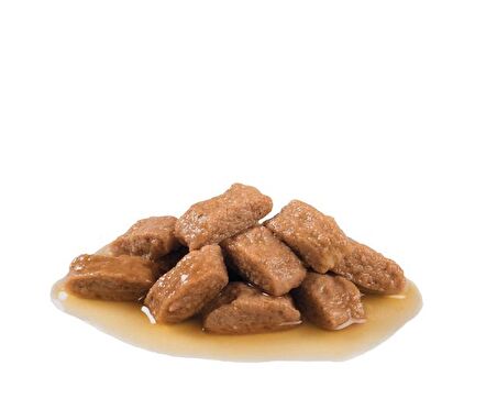 Royal Canin Orta Irklar için Yaş Köpek Maması 140g