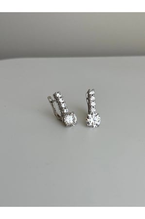 Çelik Silver Kristal Taşlı Alameda Küpe -kararma yapmaz-