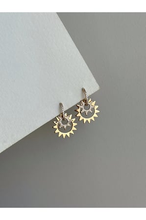 Çelik Rose Gold Taşlı Sallantılı Albany Küpe -kararma yapmaz-
