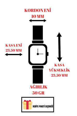 Daniel Klein Kadın Kol Saati, Çelik Kordon&Kasa+Bileklik Hediyeli Gümüş zmdk1200