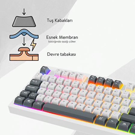 Everest KB-98 SILENT TKL Beyaz/Gri Mavi Rainbow Q Membrane Klavye