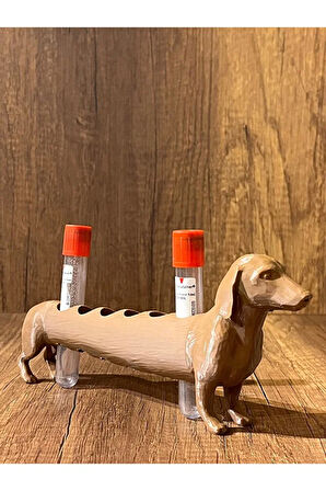 Köpek Laboratuvar ve Kan Tüpü Standı