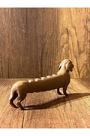 Köpek Laboratuvar ve Kan Tüpü Standı