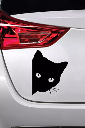 Kedi Sticker Oto Motor Laptop Duvar Folyo Sticker 80x104 cm