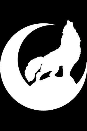 Hilal İçinde Bozkurt Sticker (Oto-Motor-Laptop-Duvar-Dekor) 20 x 20 cm