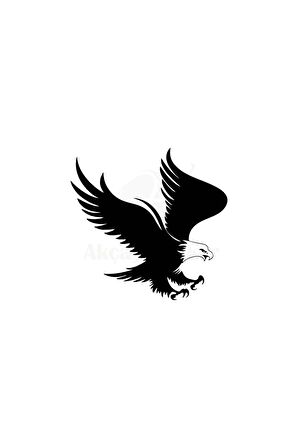 Kartal Oto Motor Laptop Duvar Folyo Sticker 100 X 90 Cm