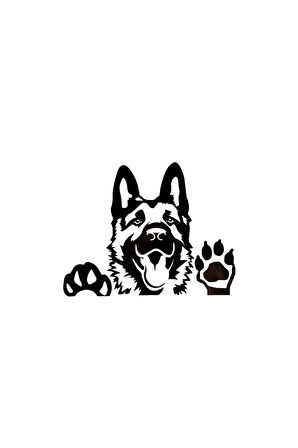 Camdan Bakan Kurt Köpeği Tasarım Sticker (Oto-Motor-Laptop-Duvar-Dekor) 20 x 18 cm