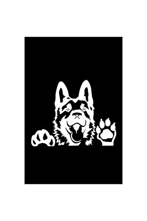 Camdan Bakan Kurt Köpeği Tasarım Sticker (Oto-Motor-Laptop-Duvar-Dekor) 20 x 18 cm