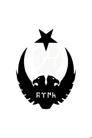 Ay Yıldız Kartal Göktürkçe Türk Oto Motor Laptop Duvar Folyo Sticker 20 X 26