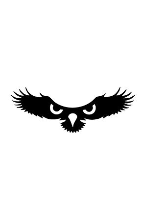 Kartalın Gözleri Oto Sticker Siyah 25 x 10 cm