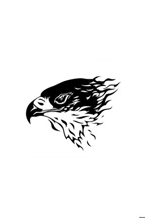 Siyah Kartal Oto Motor Laptop Duvar Folyo Sticker 100 x 70