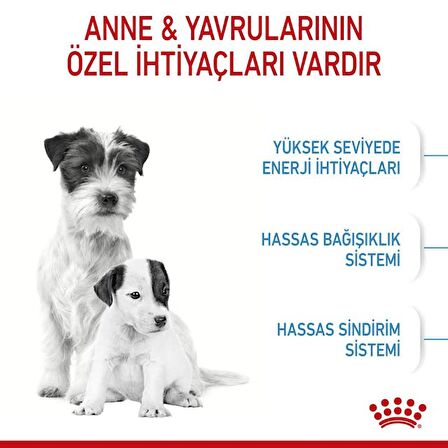 Royal Canin Starter Mother&Babydog Gebe/Laktasyondaki Anne ve Yavru Köpekler için Kuru Köpek Maması 4kg