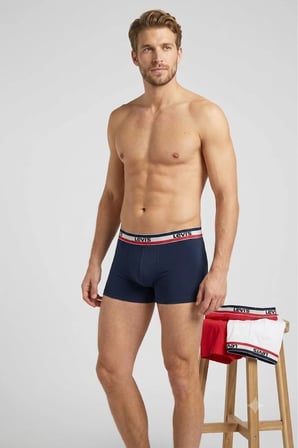 3'lü Paket pamuklu Basic Sportswear Logo Boxer Çok Renkli-3 / L