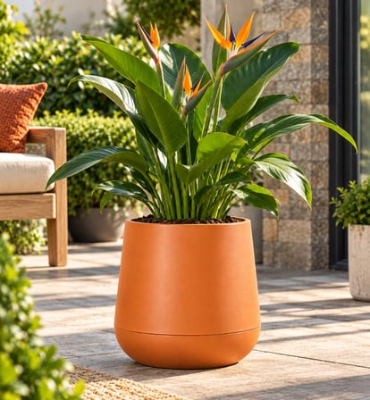 Omnipazar SO-ATL04 Atlas Dekoratif Plastik Modern Saksı 7 LT No: 4  