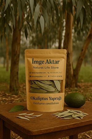 Okaliptus Yaprağı 30g