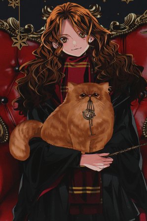 x Dekomus "Wizard Icons Collection" Harry Potter A4 Spiralli 2 Adet Kareli Defter,2 Adet Çizgili Defter 80 Yaprak 