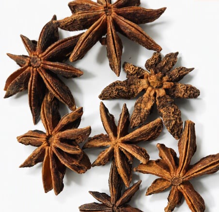 Yeni Harmancı Yıldız Anason (Illicium Verum, Star Anise) 100 Gr.