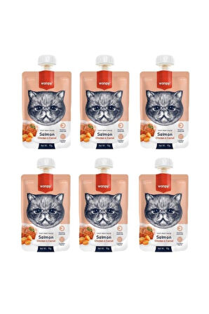 Wanpy Taze Somon & Tavuklu Kedi Et Ezmesi 90 Gr. X 6 Adet