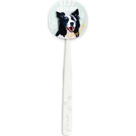 Rocs Flipper Pets Hijyenik Saklama Kabı ve Yetişkin Diş Fırçası Seti (Köpek) Beyaz 