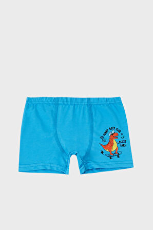 Lela Erkek Çocuk Boxer 6651005DINO