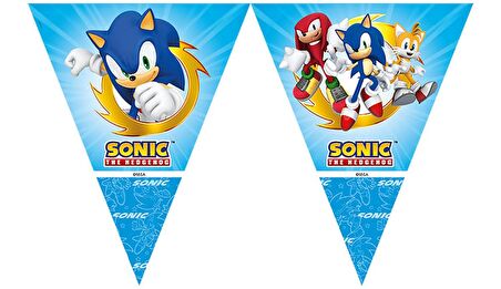 Sonic Temalı Üçgen Bayrak Flama 290 cm