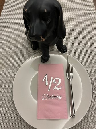Gümüş Yaldızlı Pembe Yarım Yaş Bırthday Garson Katlama Peçete 16 lı