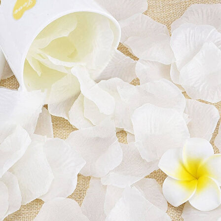 Beyaz Gül Yaprağı 110 Adet