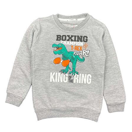 Erkek Bebek 2 İplik Şardonlu Sweatshirt Dinozor Baskılı