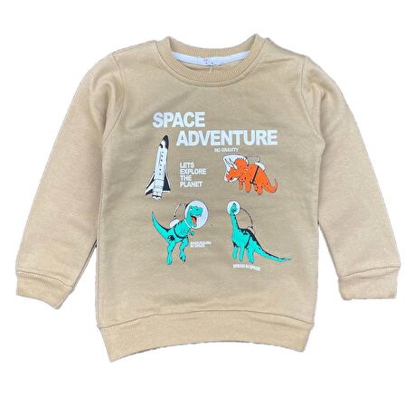 Erkek Bebek 2 İplik Şardonlu Sweatshirt Dinozor Baskılı