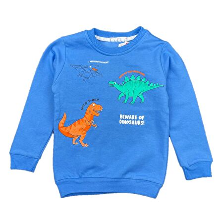 Erkek Bebek 2 İplik Şardonlu Sweatshirt Dinozor Baskılı